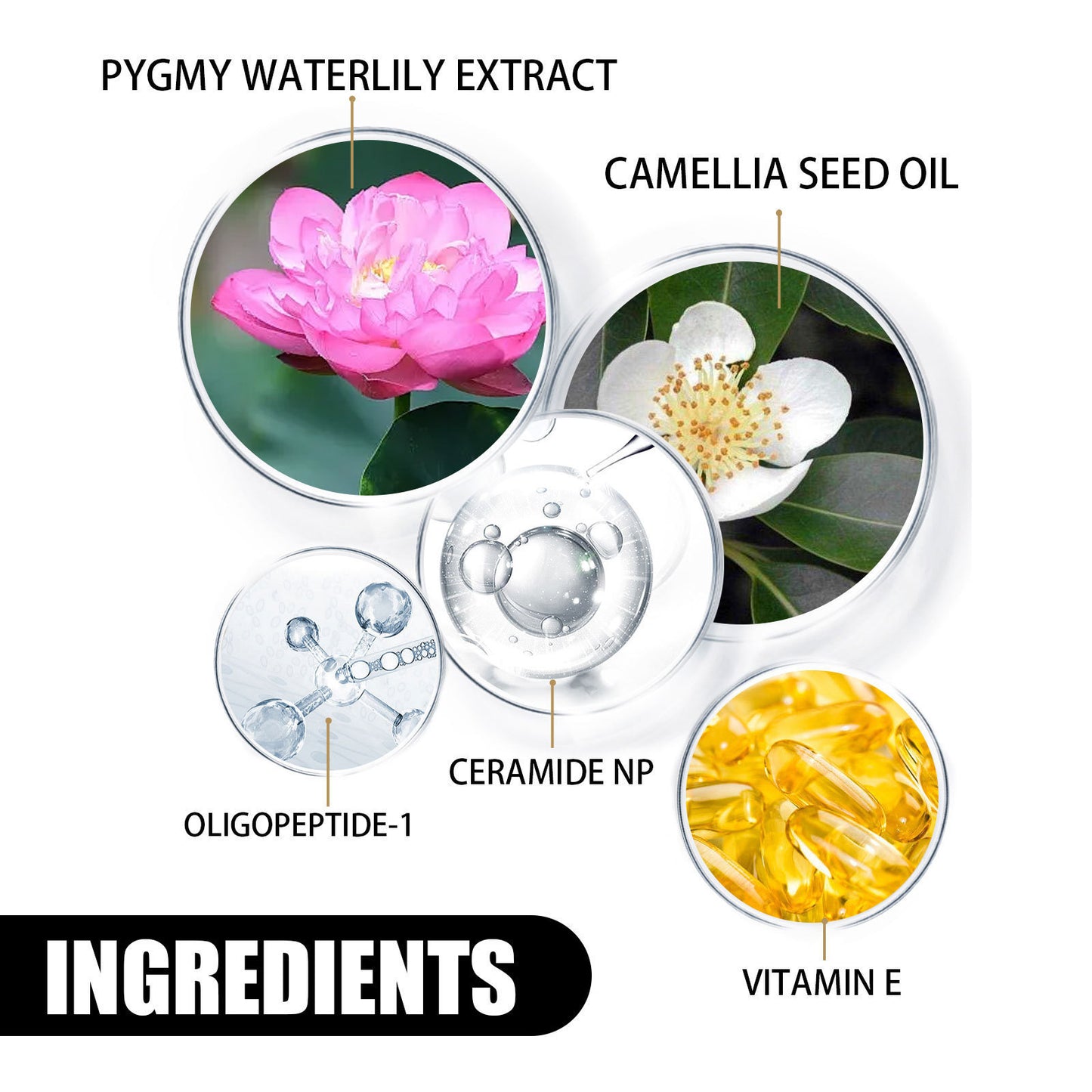 Nourishing Moisturizing Skin Cream Skin