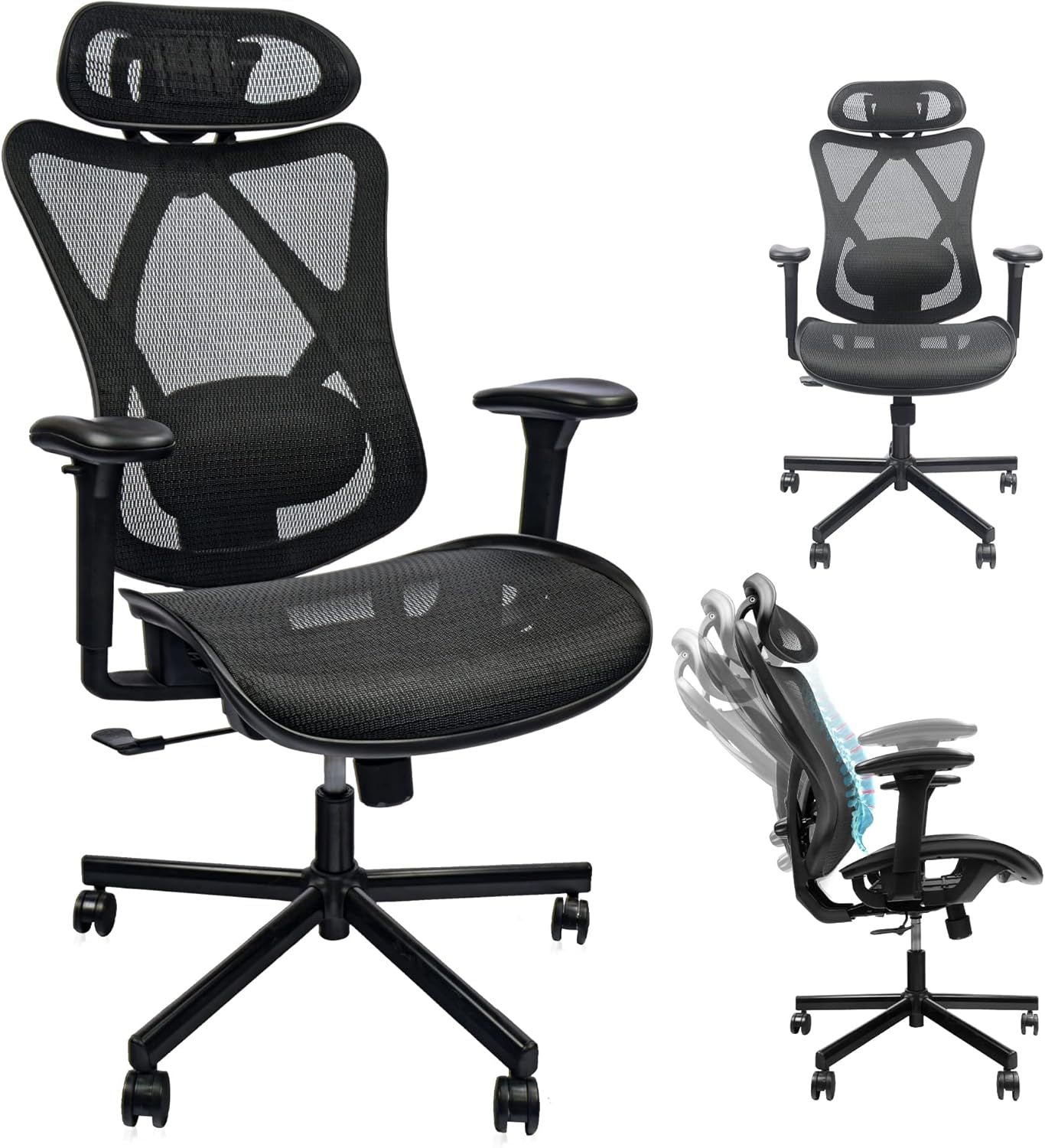 Ergonomic Office Chairs with Lumbar Support