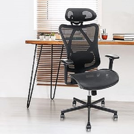 Ergonomic Office Chairs with Lumbar Support