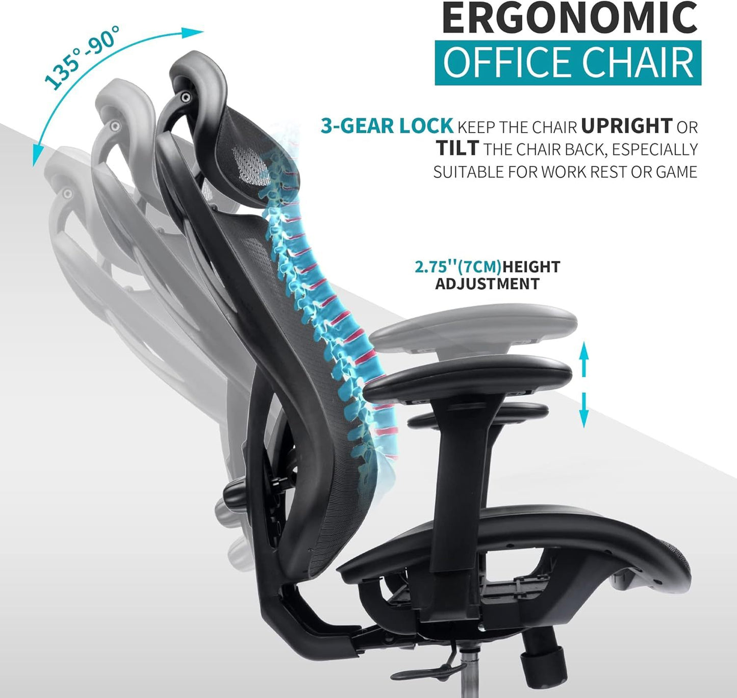 Ergonomic Office Chairs with Lumbar Support