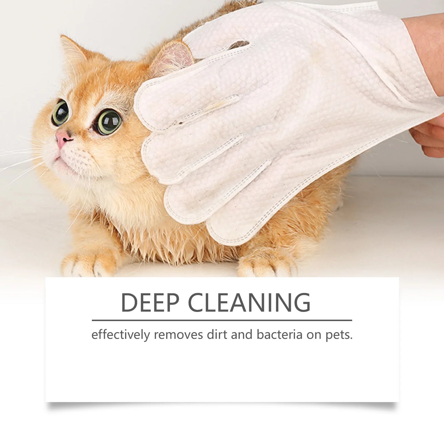 Pet Gloves Cleaning Wipes