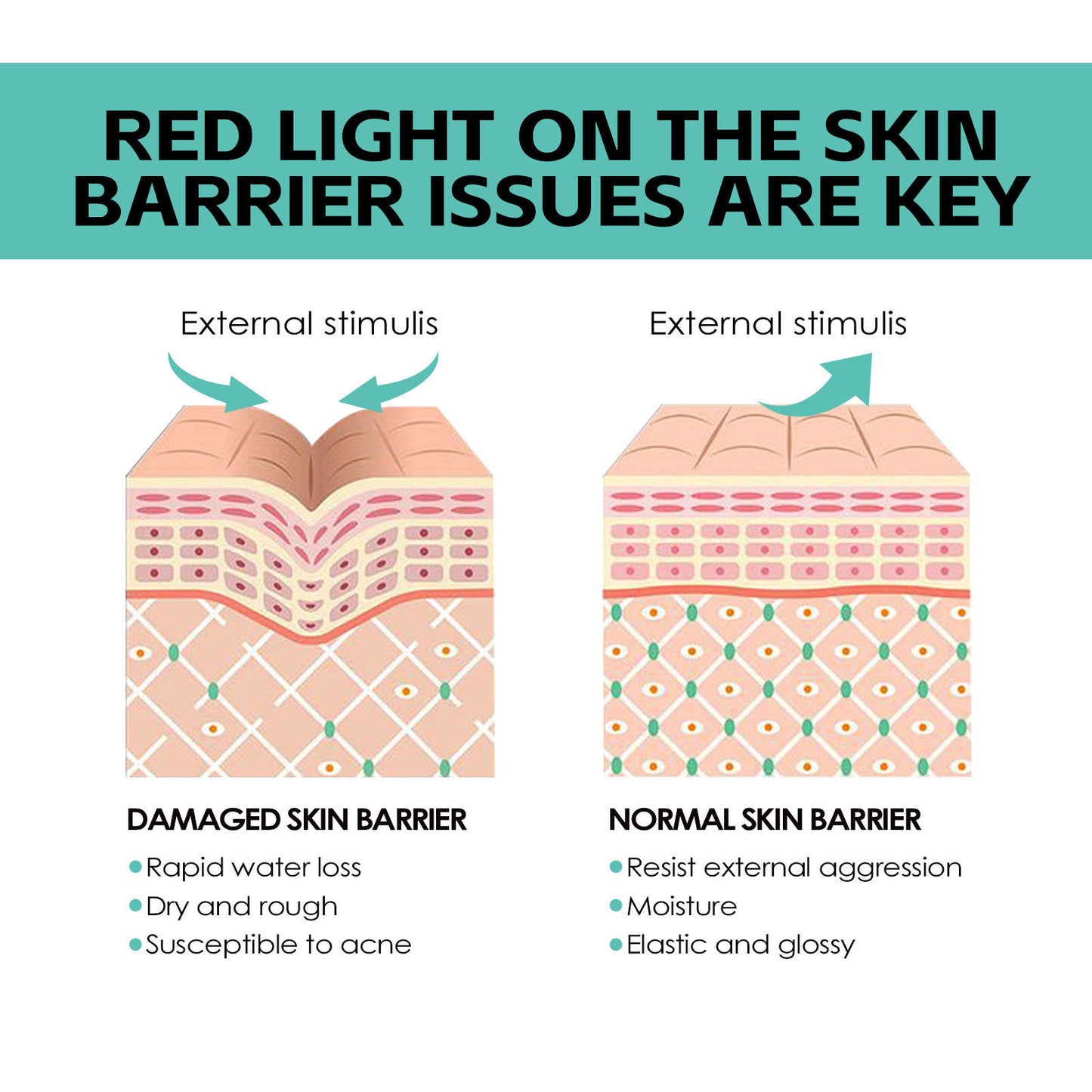 Nourishing Moisturizing Skin Cream Skin