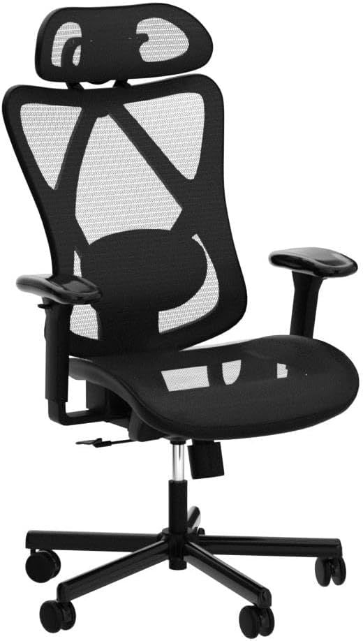 Ergonomic Office Chairs with Lumbar Support